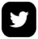 twitter logo